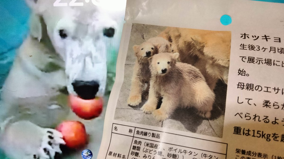 robrobanimals's tweet image. 牛タン入り笹かまぼこの印刷が新しくなってた…🐻❄️✨🐻❄️✨🐻❄️
#おみやげありがとうございます #八木山動物公園 #うみ #そら #ポーラ #ホッキョクグマ