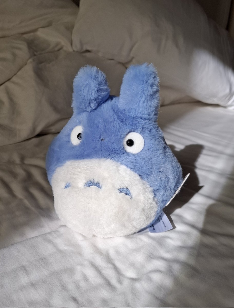 ArthurDDent's tweet image. Bring along for the cat sitter. Hope she likes it 馃槉 On my train home and can't wait to cuddle my cats again.