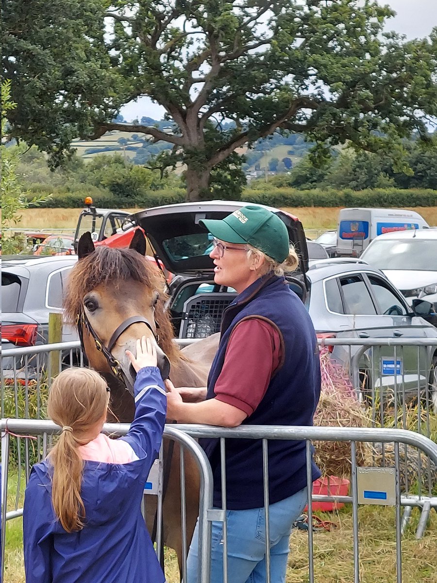 We're having a lovely day today at the <a href="/middevonshow/">Mid Devon Show 🐓🌾🚜☀️</a> 

#exmoorpony #exmoorponies