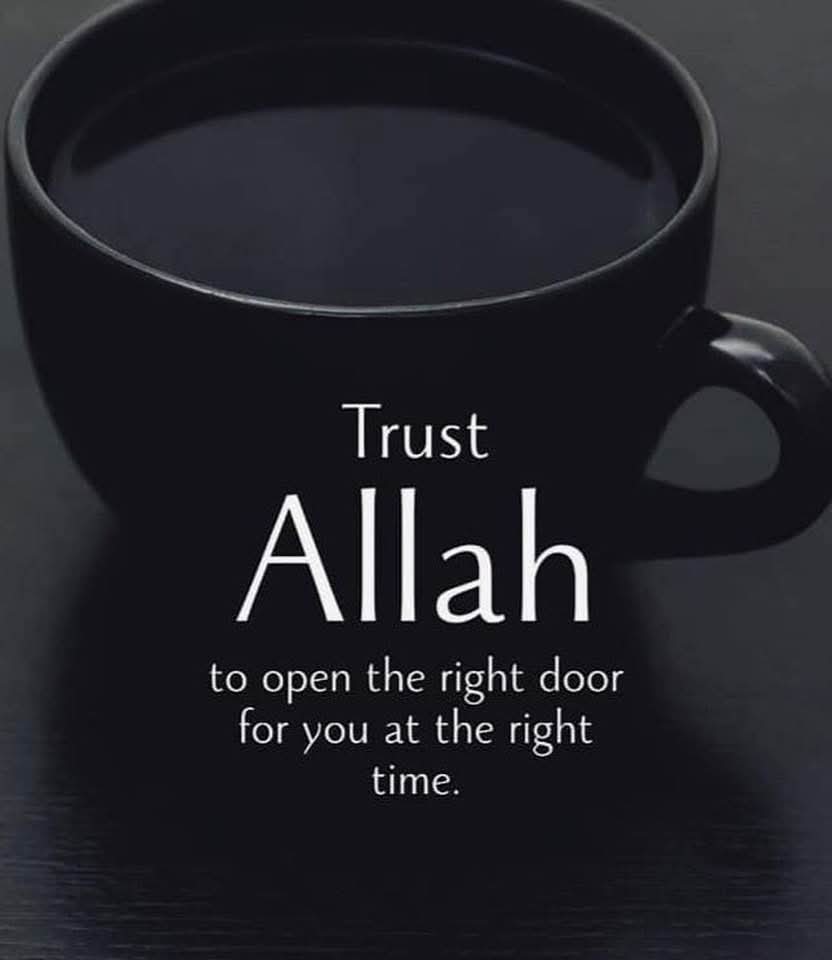JosephM97569247's tweet image. 