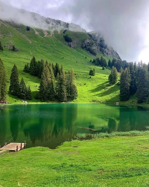 Bonjour_Off (@bonjour_off) on Twitter photo La pluie menace ☔️ Triste juillet 😢
Ça ira mieux demain (petite pensée à <a href="/CordyAnnie/">Annie Cordy</a>) On espère le retour du soleil ⛅️ La pluie menace ☔️ Triste juillet 😢
Ça ira mieux demain (petite pensée à <a href="/CordyAnnie/">Annie Cordy</a>) On espère le retour du soleil ⛅️