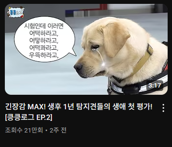 아ㅋㅋㅋㅋㅋㅋ 너무 귀엽다