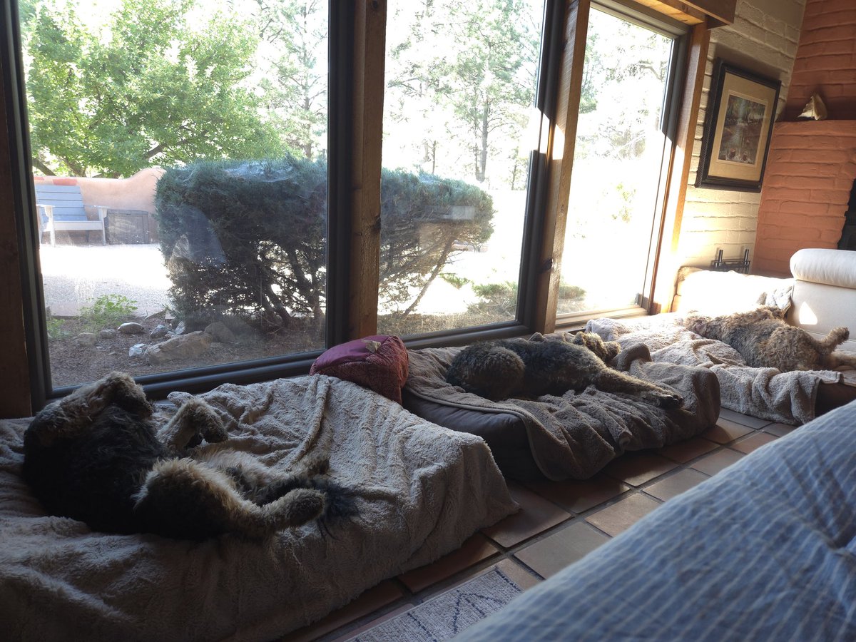Sleepyheads!