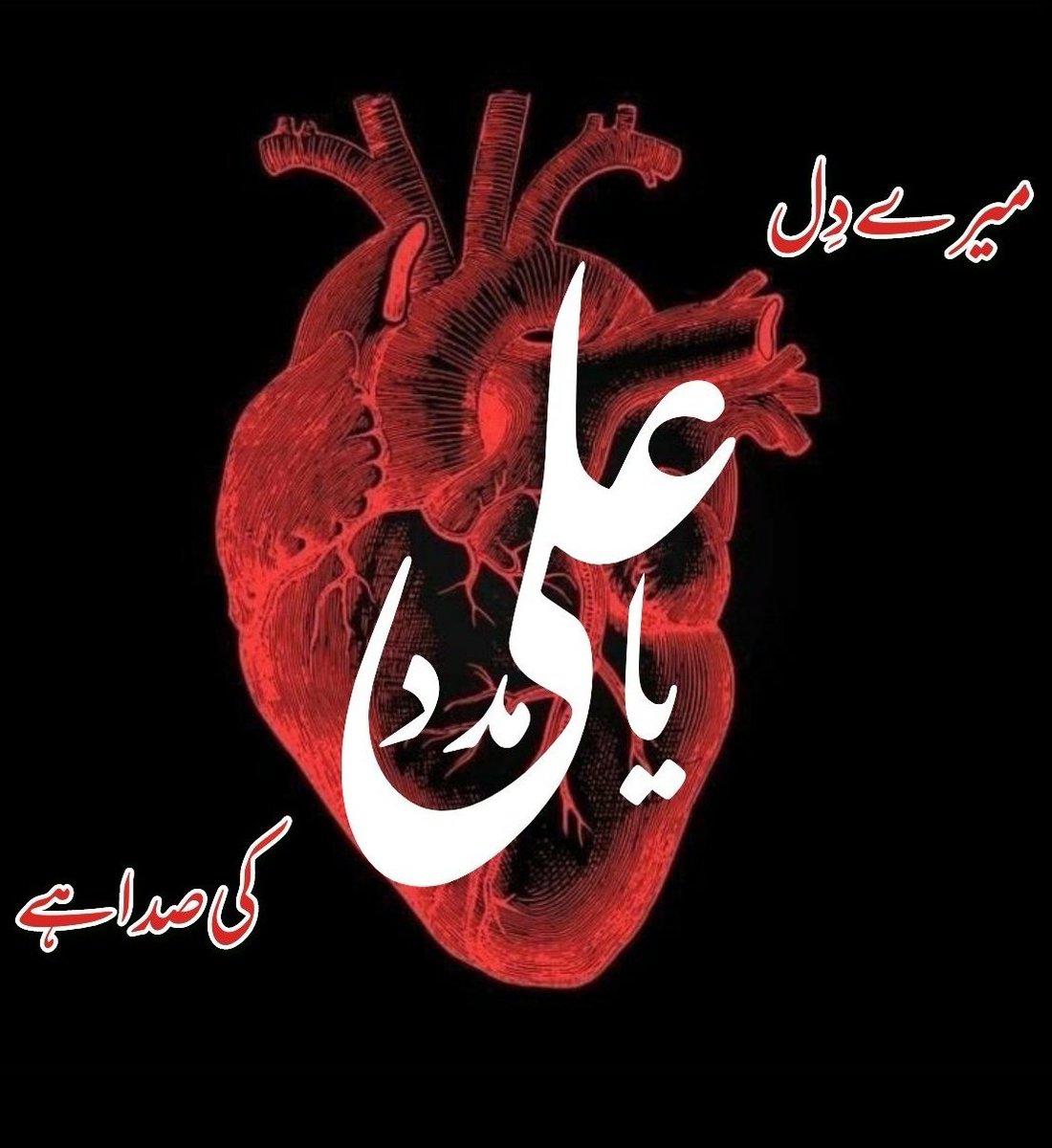 میرے دل کی صدا ہے یا علی مدد 🙏
