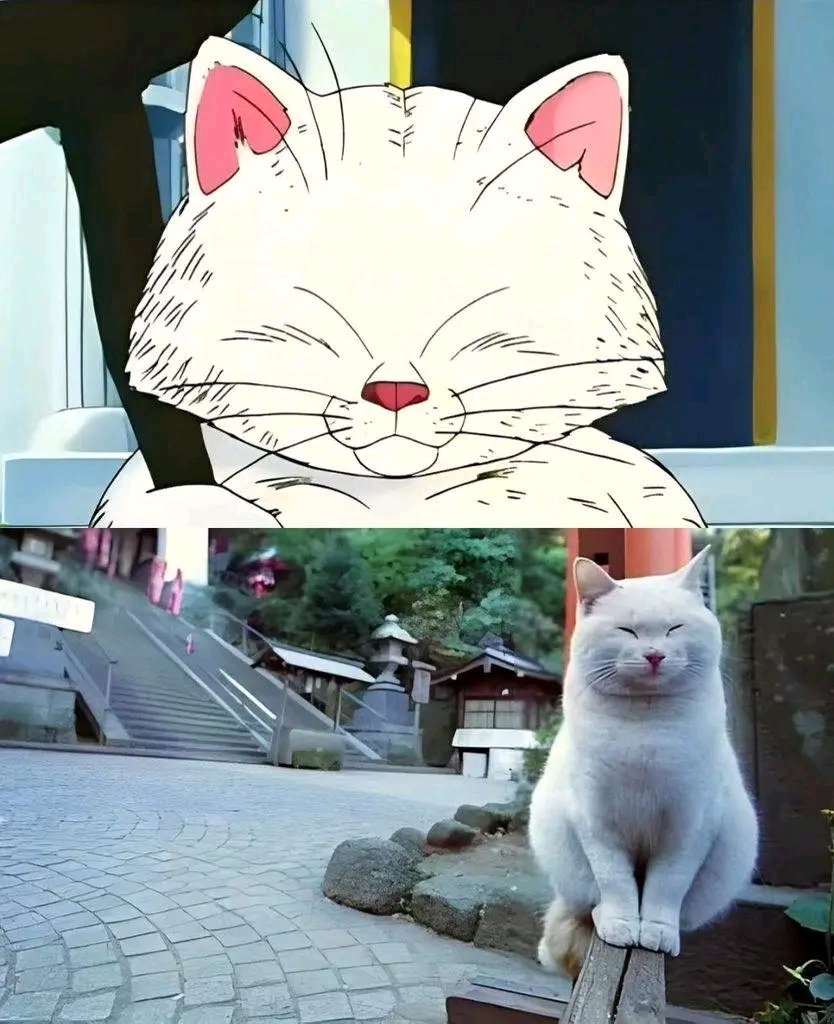 tiofelino2's tweet image. Versión Live Action 🐱🐾