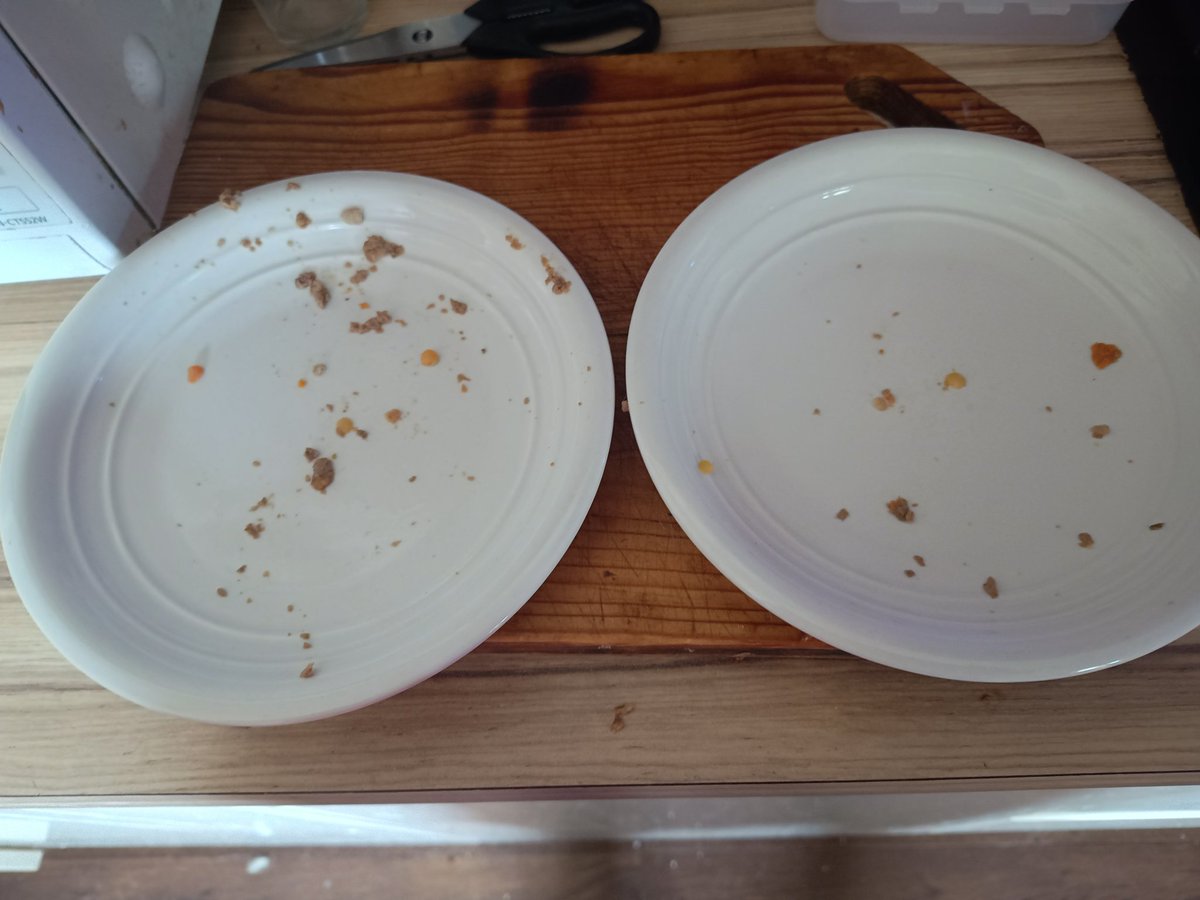 JohnFielder1's tweet image. Another successful meal for two fussy chihuahuas, thanks to Butternut Box
#CHIHUAHUA