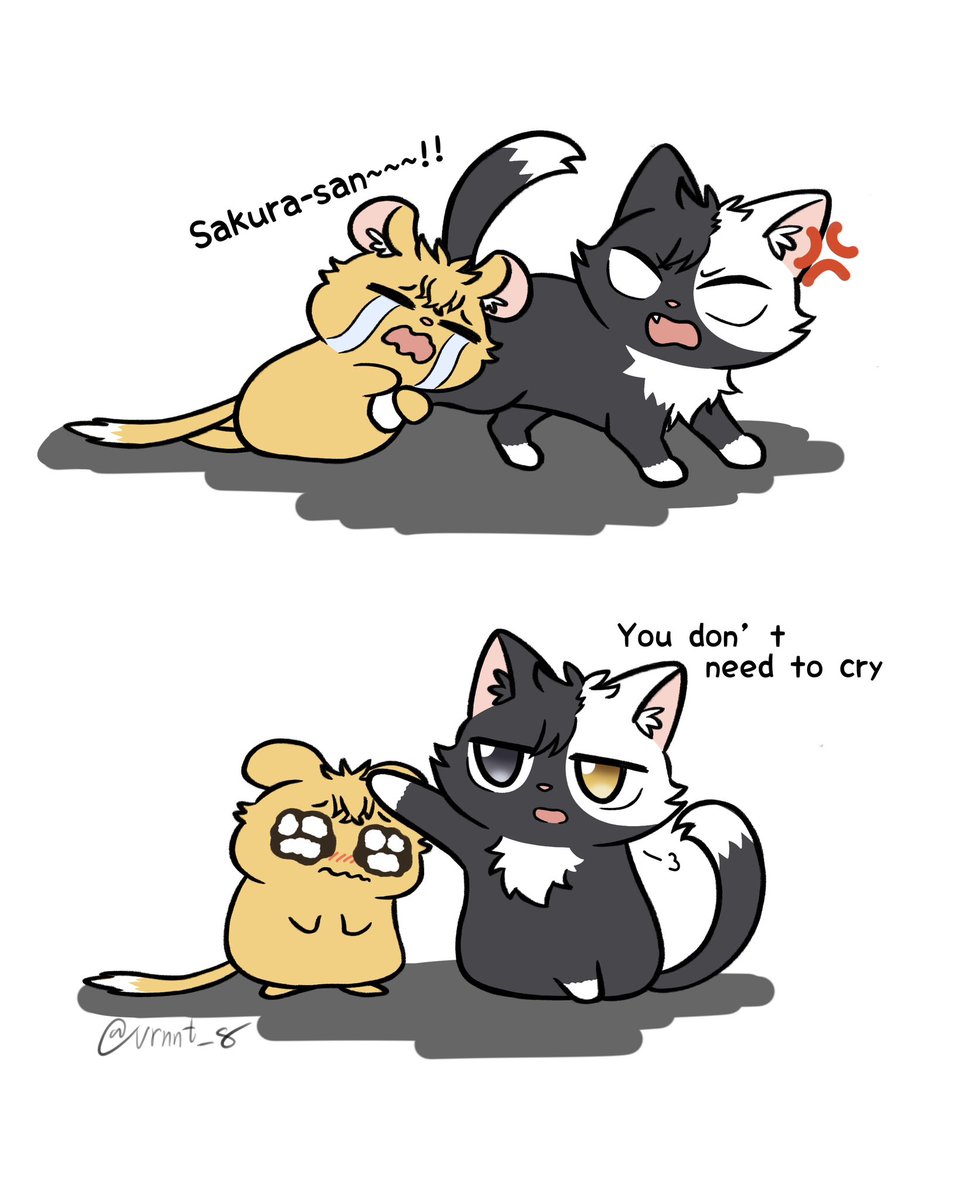 urnnt_8's tweet image. 🐱🐹
#WINDBREAKER #ウィンブレFA