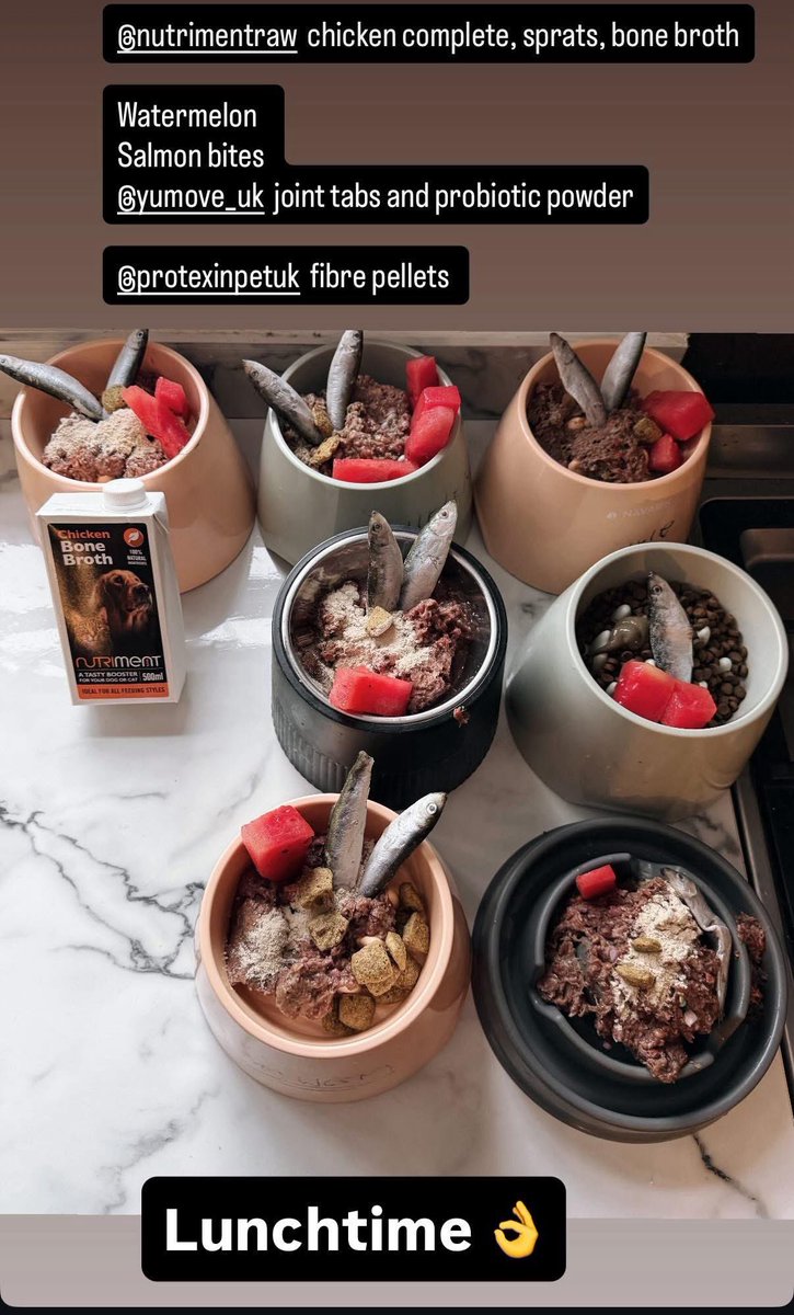 Saturday lunchtime 👌🏻 <a href="/NutrimentRaw/">Nutriment Raw</a> 🙏🏻 #RescueDogs #AdoptDontShop #Lunchtime #florisfriendsrescue