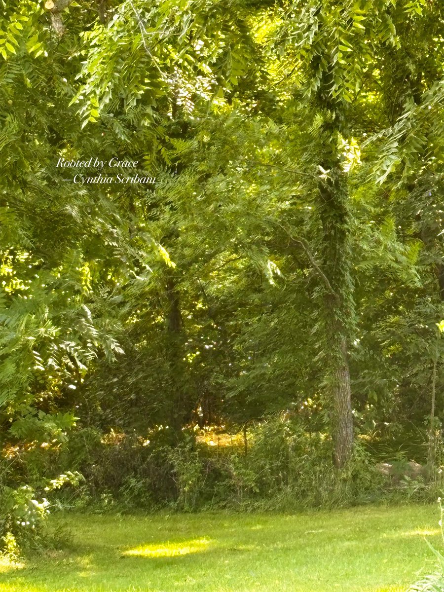 MyHairShop's tweet image. 🌤️ When it doesn’t make sense—God is still working.
Romans 8:27–30 

• He works.
• He works for good.
• He works for those who love Him.
• He works in all things.

Even this ache.
Even now.
Light still breaks through the trees.
And Love? He never leaves. 💛
#Romans828