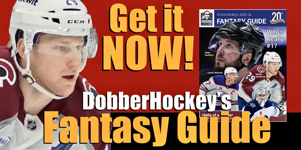 DobberHockey's tweet image. 📢20th Anniversary!
Dobber's Fantasy Hockey Guide is available for download in 3...2...1... NOW
Pick it up in the shop ⬇️⬇️⬇️