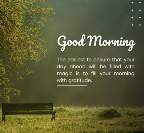 FanduelGuru777's tweet image. Not much happening today fam . I will see you tonight for WNBA and MLB!!!
Enjoy you day!!! ☀️☀️☀️☀️