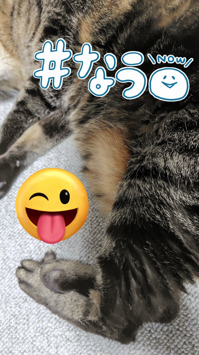GukkoC75003's tweet image. おやすみなさーい😴💤