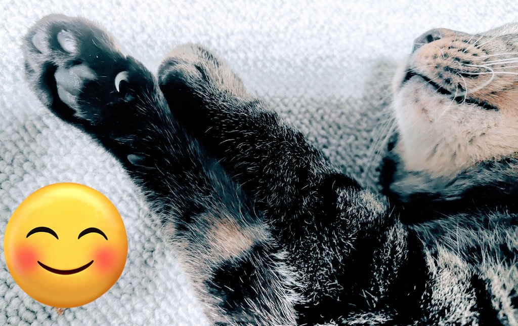 GukkoC75003's tweet image. おやすみなさーい😴💤