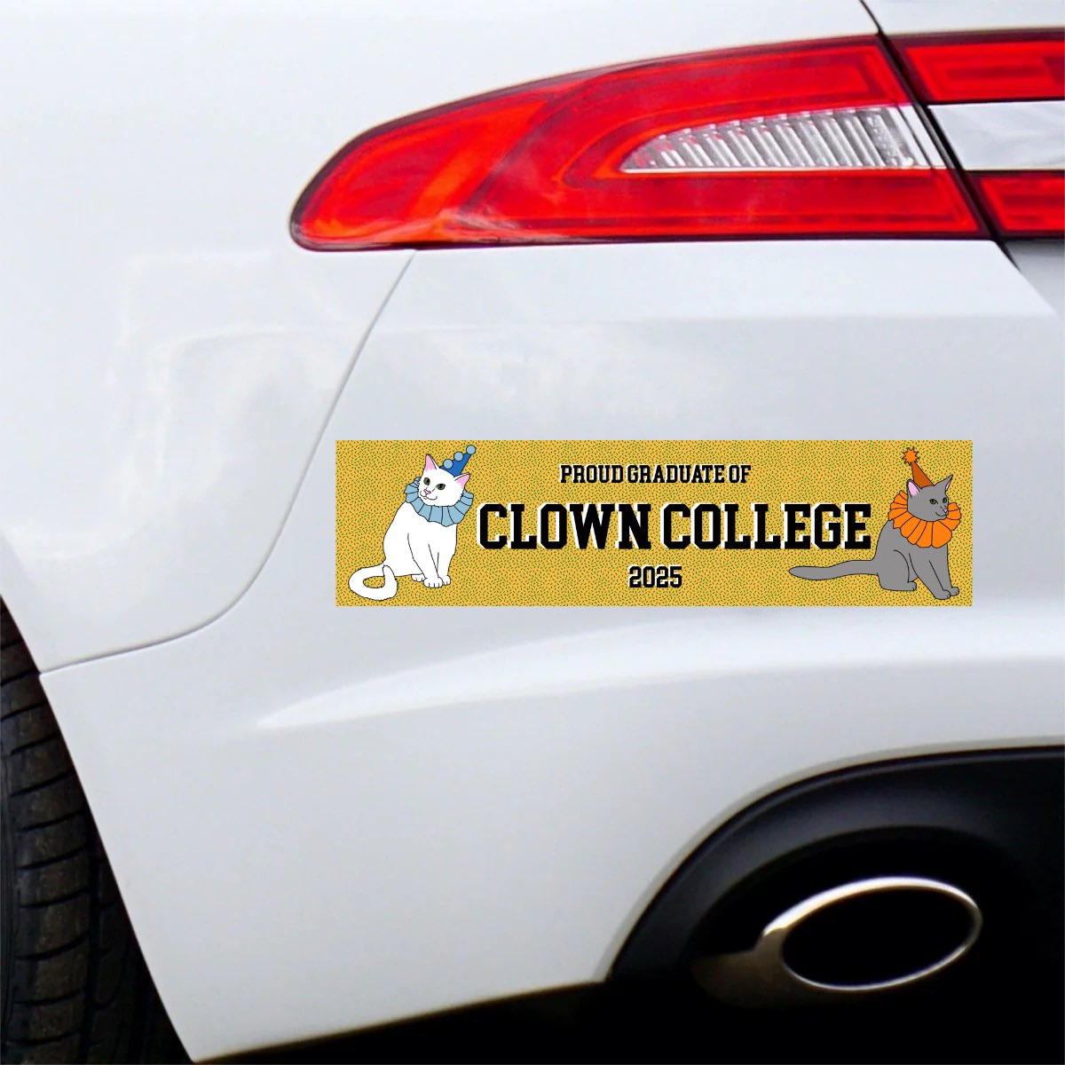 swagmastarpaul's tweet image. I graduated top of my class and you can too besties
blackspurgoods.com/products/clown…