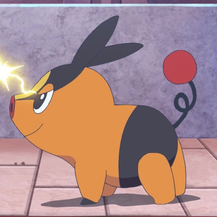 TepigGanda's tweet image. Morning! Tepig is confident right now!