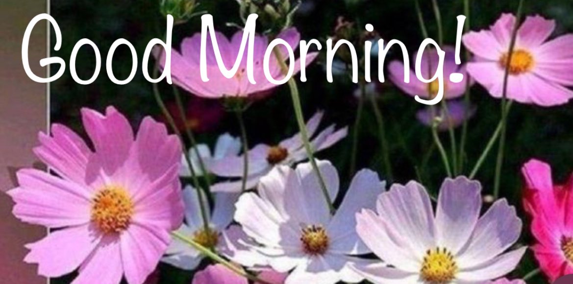 sawsharee's tweet image. Have A Super Saturday!