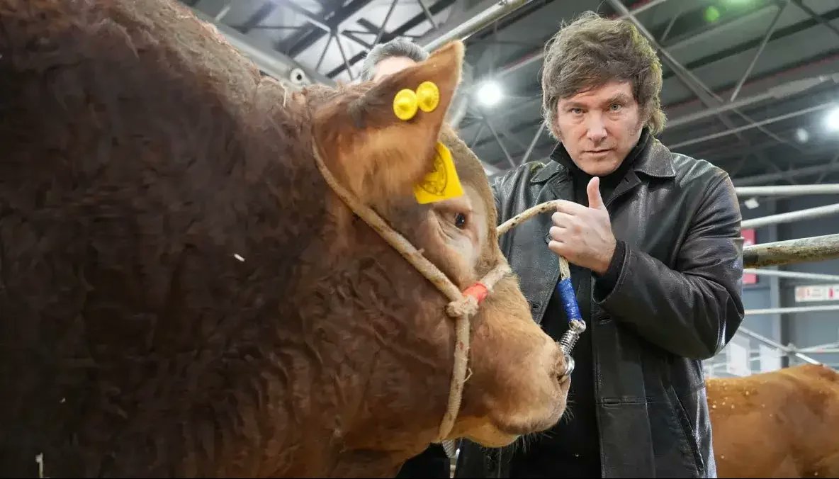 El gobierno anunció una reducción PERMANENTE de retenciones:

Carne: 6,75% a 5%
Maiz: 12% a 9,5%
Sorgo: 12% a 9,5%
Girasol: 7% a 4%
Soja: 33% al 26%
Subproductos de Soja: 31% al 24,5%