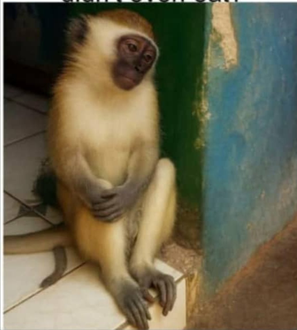 K3NYII's tweet image. All this suffering on earth just coz of an apple I didn't even eat.😭😭