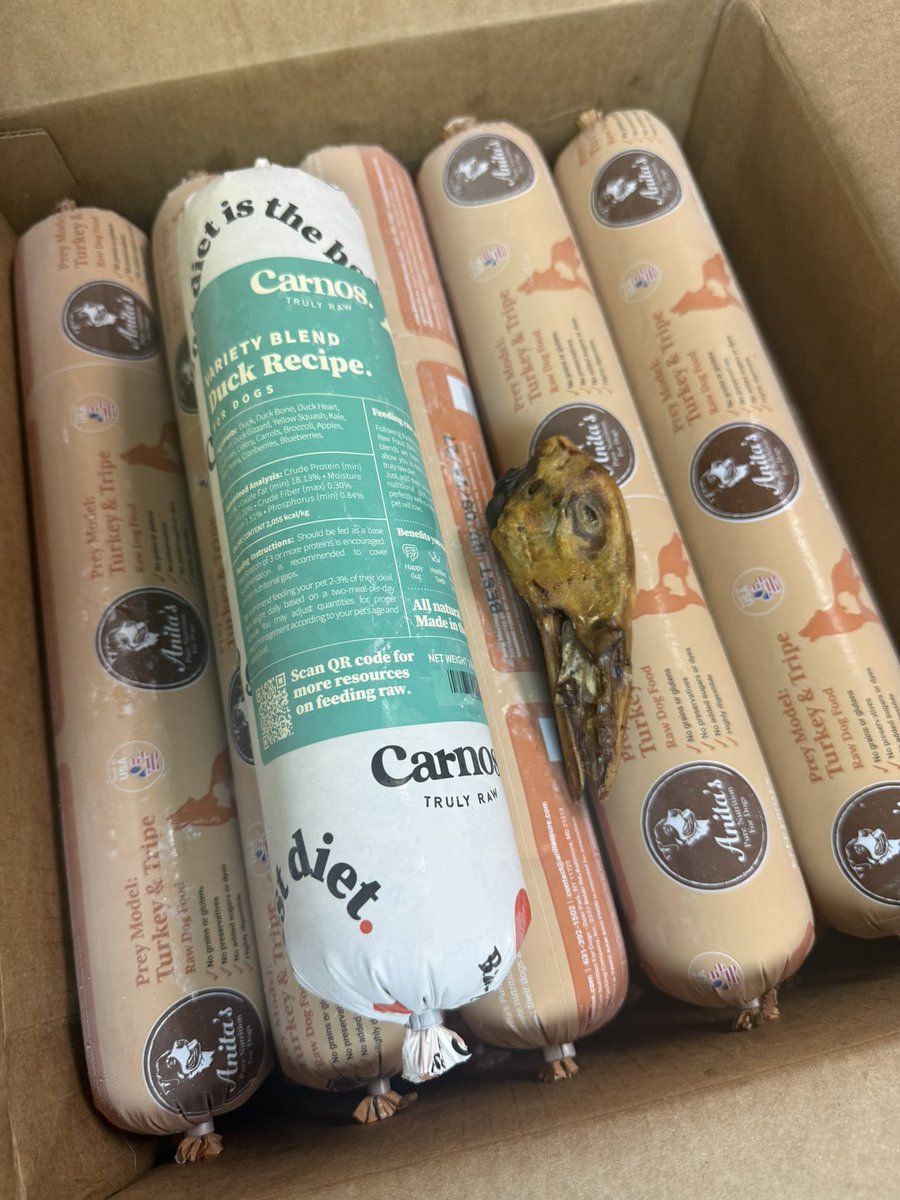 JcsSnacks's tweet image. Food shopping for my pup. He eats better than me 😂 Raw since he was a puppy. Plus I got him a duck head for a snack. What do you feed you dogs?