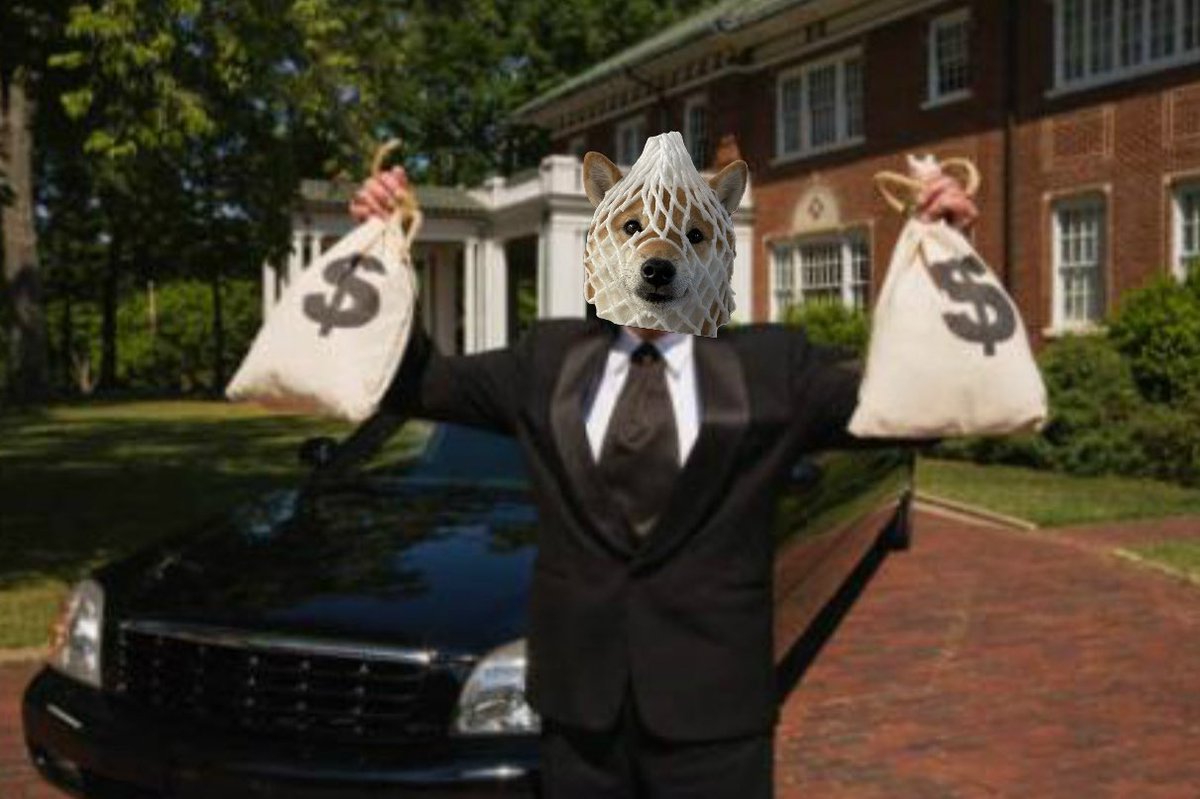 the dog is wrapped $wDOG