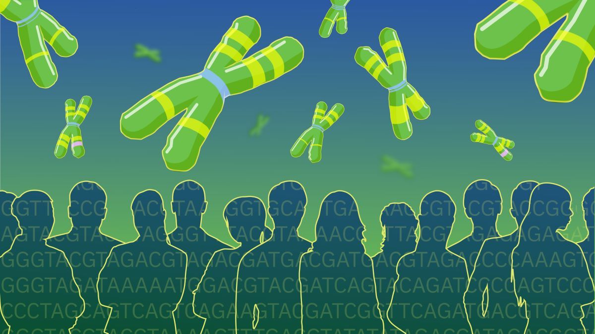 FutureFactual's tweet image. 🔍 Read: It’s been more than 2 decades since the human genome was mapped for the first time. This achievement, while tremendous at the time, was based on the DNA of only a handful of people and left important regions fragmented.
cosmosmagazine.com/science/human-…