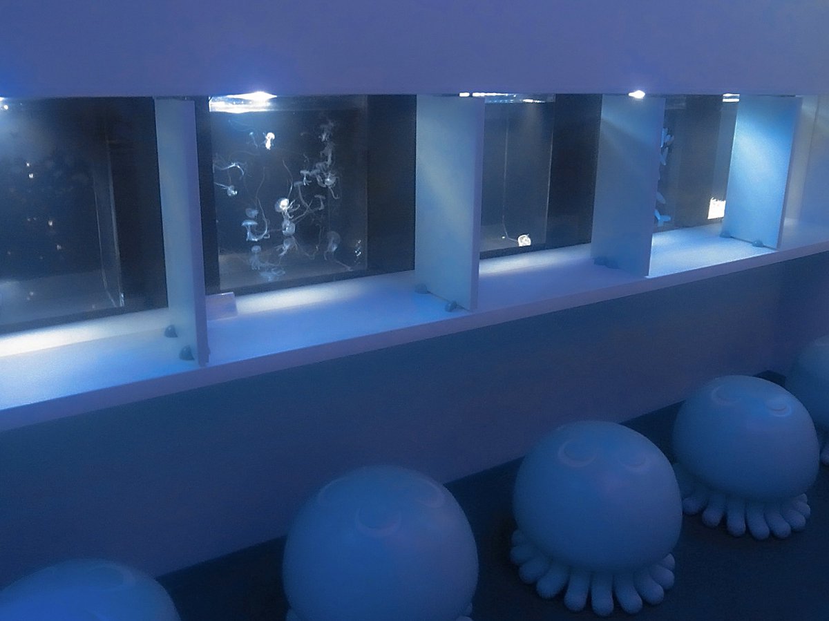 #6 (@nnuf22) on Twitter photo 