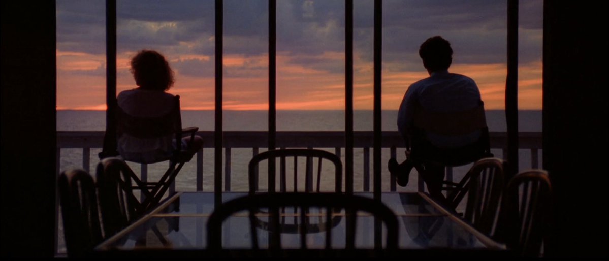 abirabrown25's tweet image. Before Silence of the Lambs, there was Manhunter (1986). Michael Mann turns the serial killer hunt into a meditative journey, drenched in synths and '80s aesthetics. More psychological than thrilling, it's built on dread, minimalism, and mental collapse. Such an underrated gem.