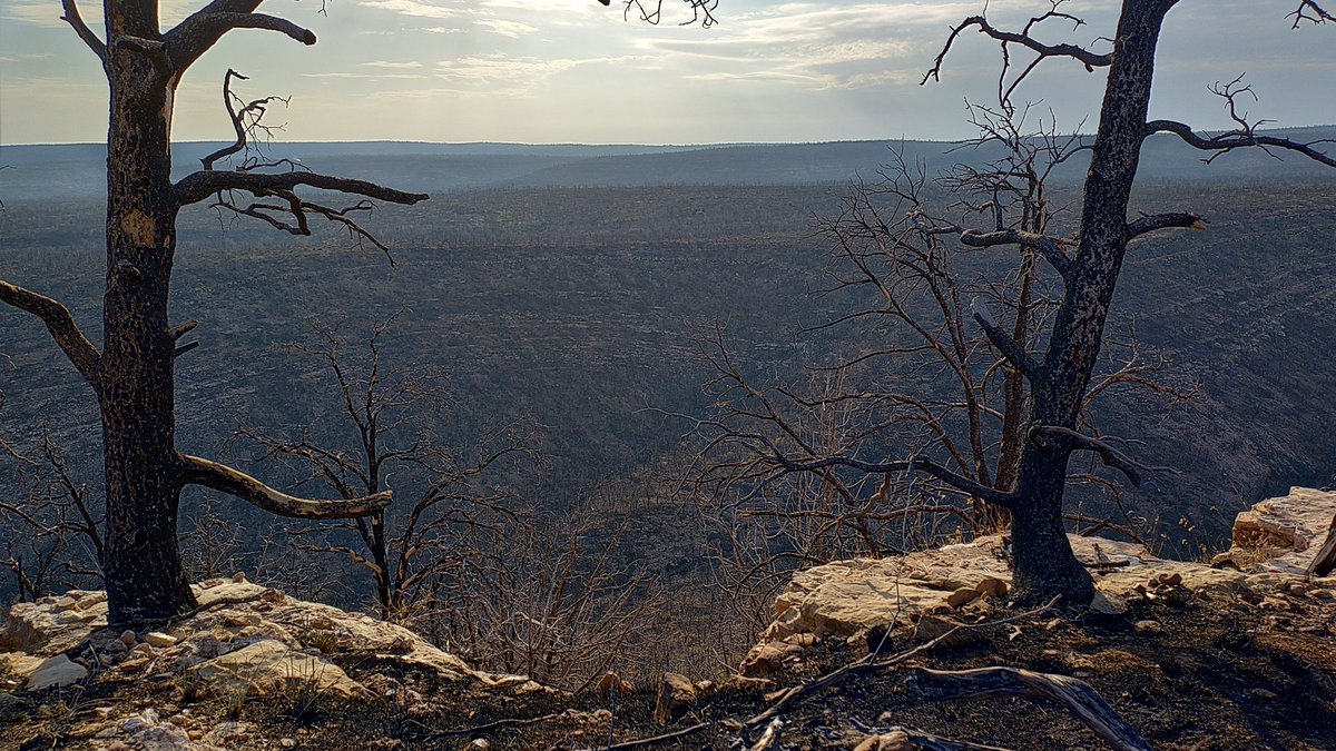 KaibabNF's tweet image. WHITE SAGE FIRE DAILY UPDATE - July 26, 2025
81% contained - 58,985 acres - 339 personnel - 0 structures lost
15 miles southeast of Fredonia, AZ
Fire Information: Phone: (928) 218-4240 daily from 8 a.m. - 8 p.m.
Email: 2025.whitesage@firenet.gov
InciWeb: inciweb.wildfire.gov/incide.../azas…