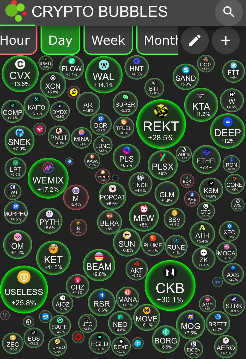 tadartot's tweet image. I spy!  🧐