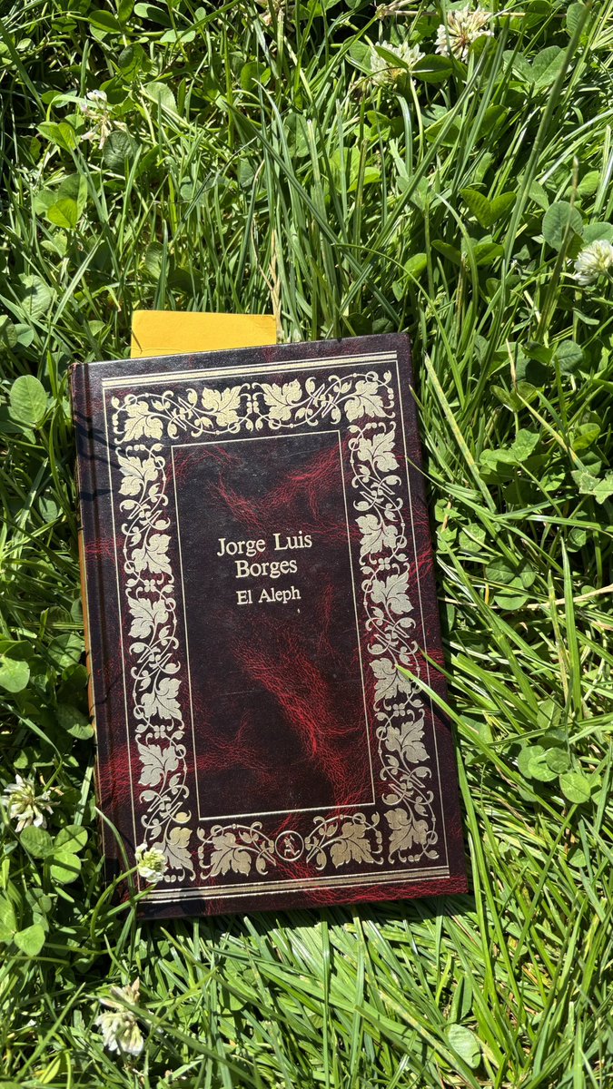 😵‍💫 tweet media