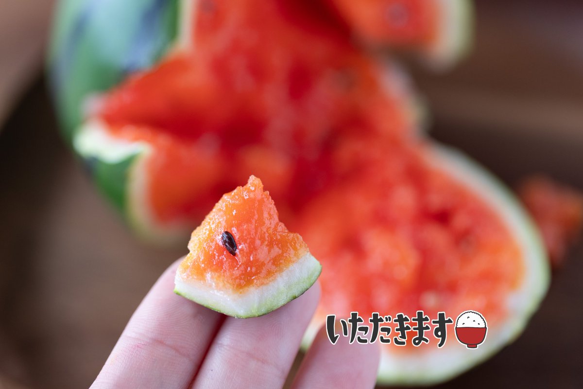 ariariareal's tweet image. 過去作の粘土スイカ(🍉&apos;^&apos;🍉)
つくりかけの改良版をそろそろ完成させたい、今年こそうちのこたちとスイカパーティするんじゃ🥳🥳🥳