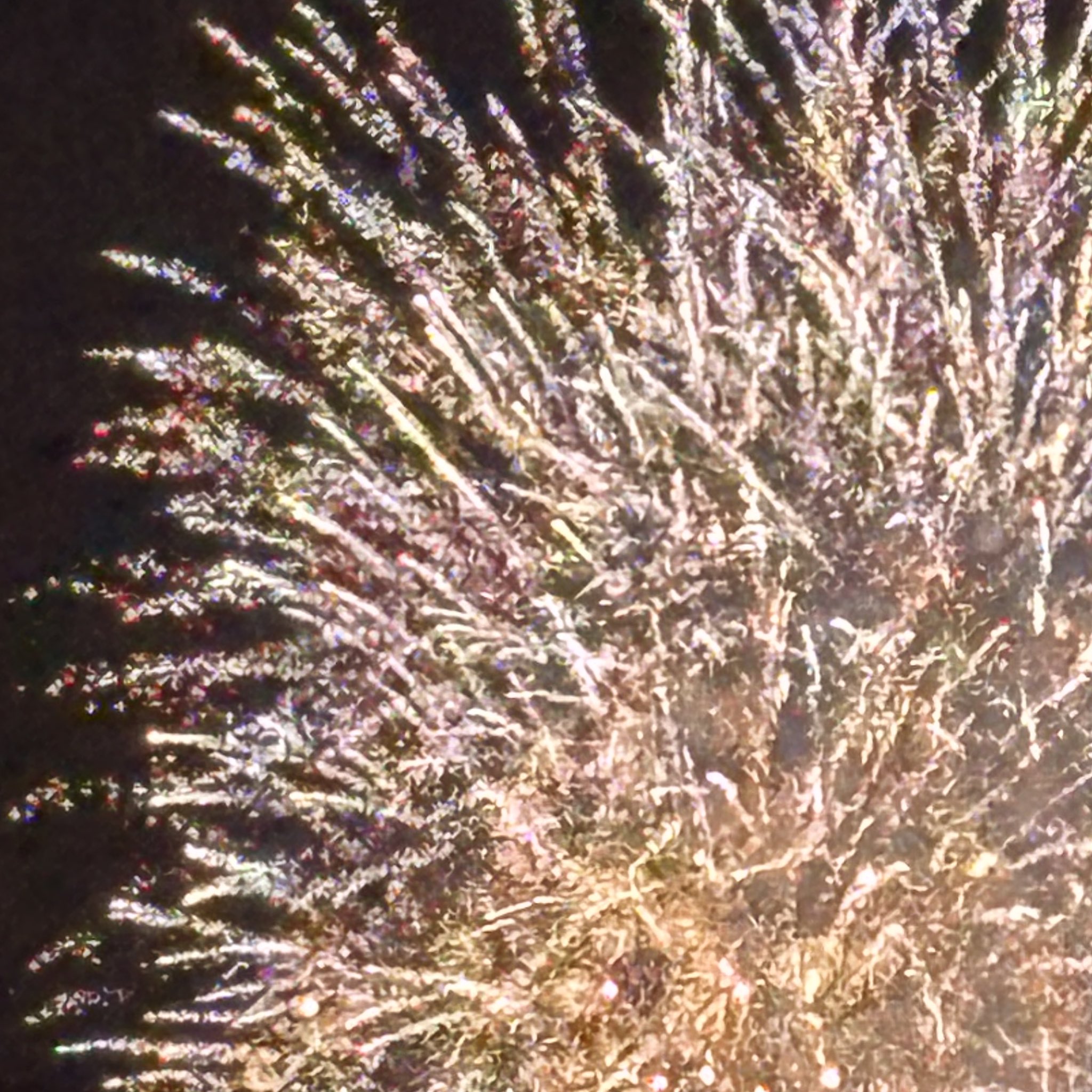 花火写真⑨ 直径600Mにも達する巨大な花火三尺玉。今年も長岡の空に炸裂し