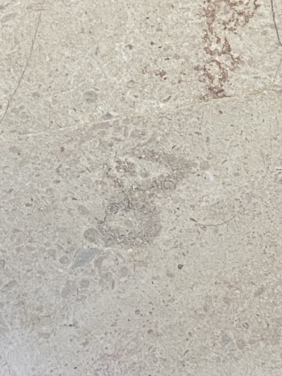 puppiwa's tweet image. was using the toilet in the airport n found a B on the floor ... everything reminds me of @qhpmas