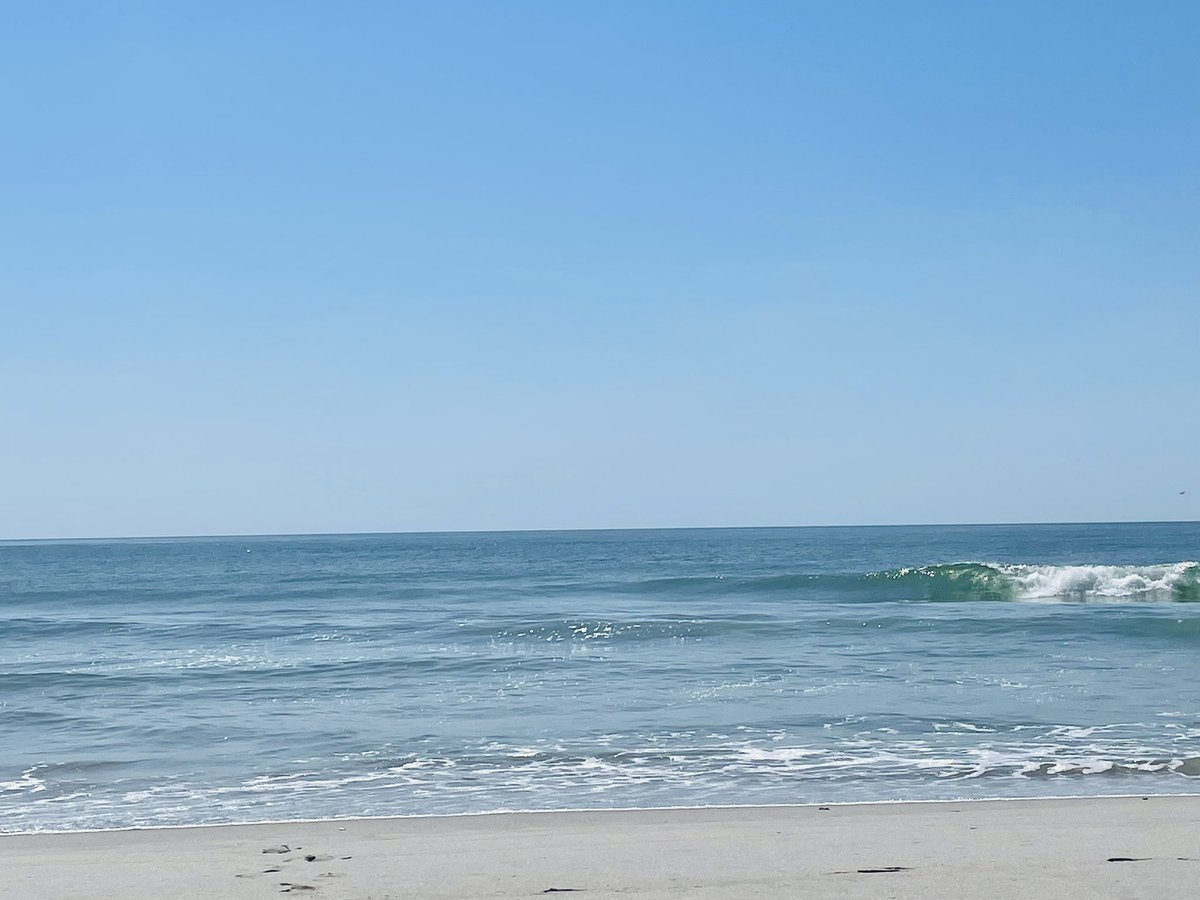 jbmbcoast's tweet image. A very late good morning from South Carolina. Supposed to be 95 with a heat index of 114. 101 inland today. Surf temp is only 85 so will be in the water a lot today. Enjoy your weekend and stay cool.😎 🌞☕️☕️