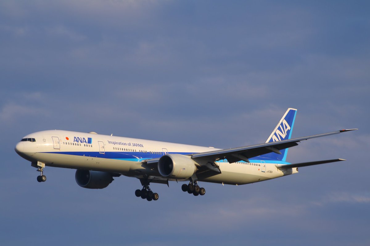 みんな大好きトリプル