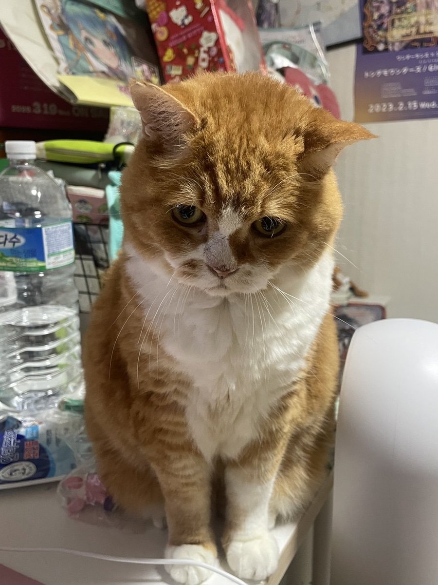 나는 오늘 못잔다 기다리지말고 먼저 자라