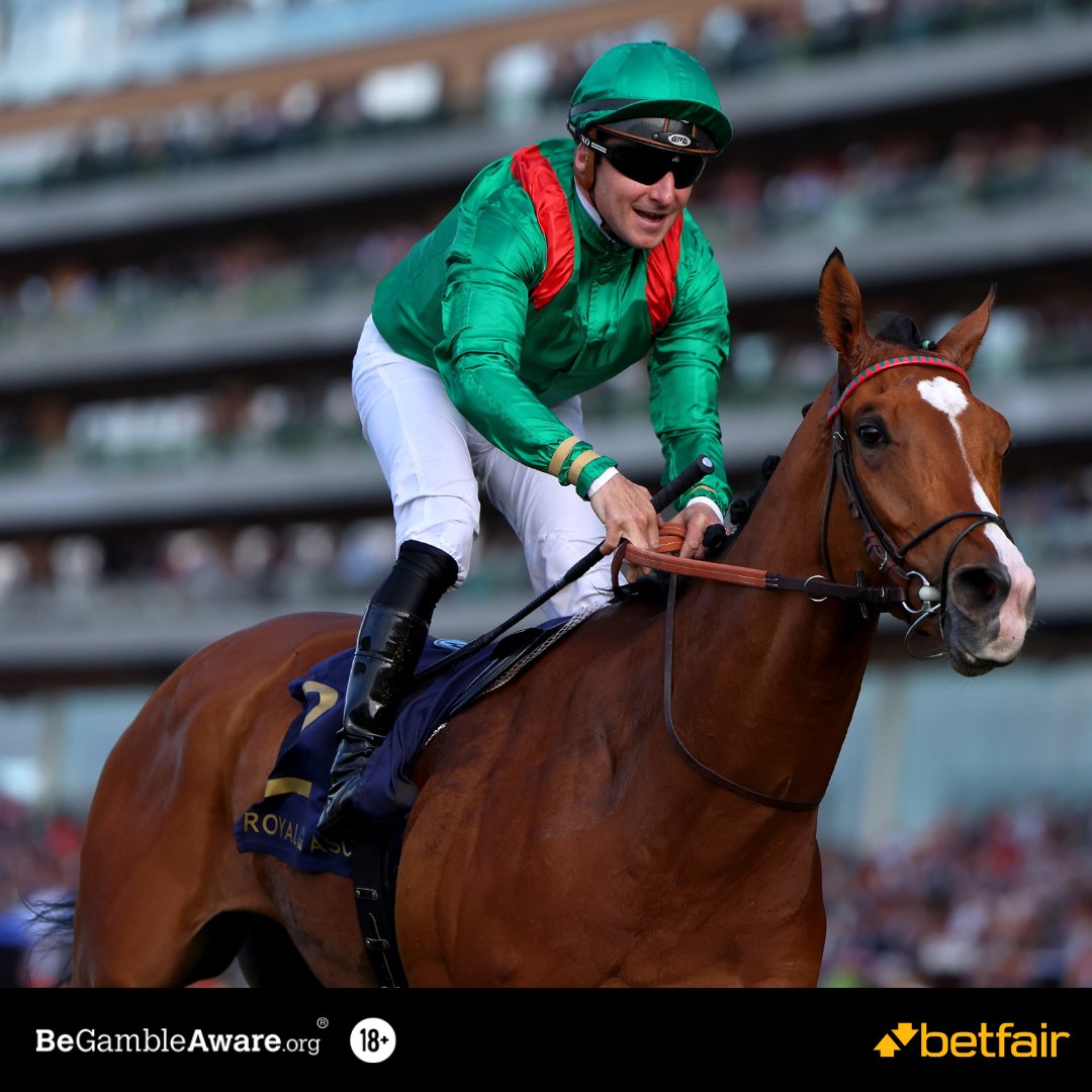 BetfairRacing's tweet image. Punters want one horse in the King George...
Calandagan is now 2.16 from 2.9 🔥
£465,912 matched on the French raider so far.
Via the @BetfairExchange