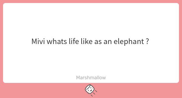 MiviVNU's tweet image. Toughβ¦roughβ¦every day I wake up and I look into the mirror and to myself
βItβs elephant timeβ