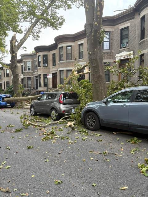 Justin Brannan (@justinbrannan) on Twitter photo Yesterday's storm did a lot of damage in a short amount of time. City agencies are in triage mode but we are doing our best to help prioritize. If you live in Bay Ridge or Coney and have large branches or a tree down, please email us with address & photo. AskJB@council.nyc.gov Yesterday's storm did a lot of damage in a short amount of time. City agencies are in triage mode but we are doing our best to help prioritize. If you live in Bay Ridge or Coney and have large branches or a tree down, please email us with address & photo. AskJB@council.nyc.gov