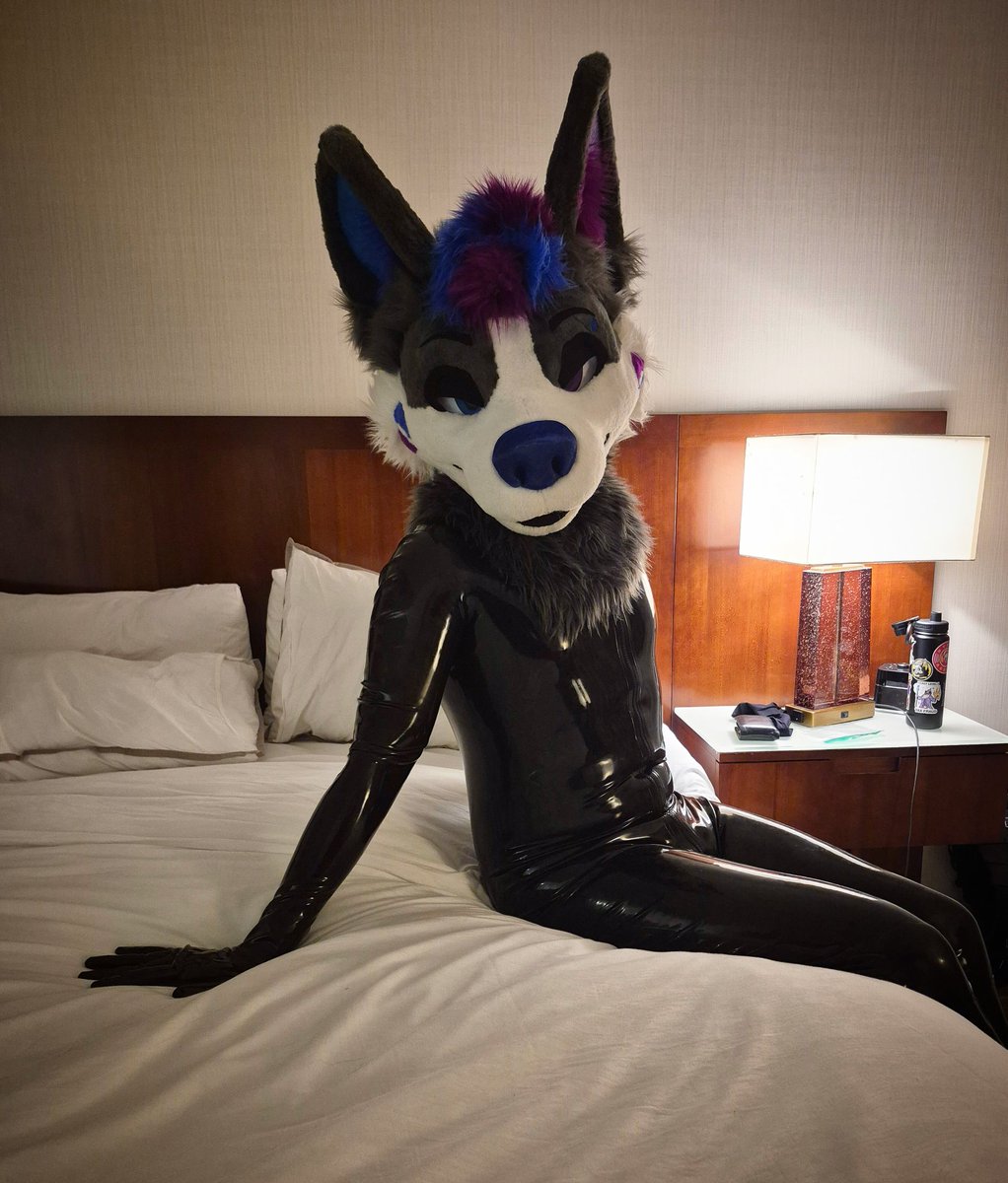 Nabi Wolfy 💙💜 🔜 FWA (@nabiwolfy) on Twitter photo Squeaky cuddles with a shiny wolf ? ✨️🖤
📸 : <a href="/Artythefoxx/">Artythefoxx</a>
#ShinySaturday
#SqueakySaturday Squeaky cuddles with a shiny wolf ? ✨️🖤
📸 : <a href="/Artythefoxx/">Artythefoxx</a>
#ShinySaturday
#SqueakySaturday