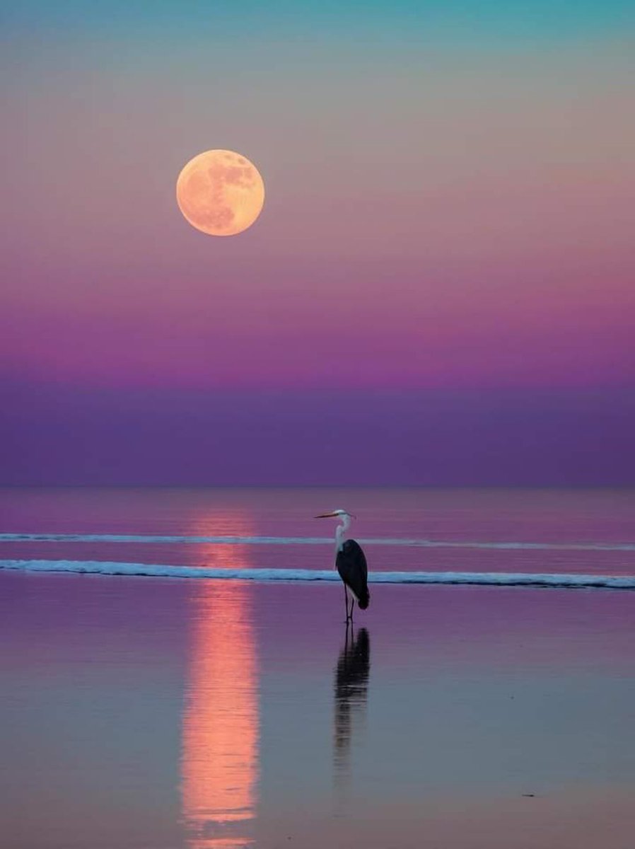 Aesthetics (@aestheticspost_) on Twitter photo 