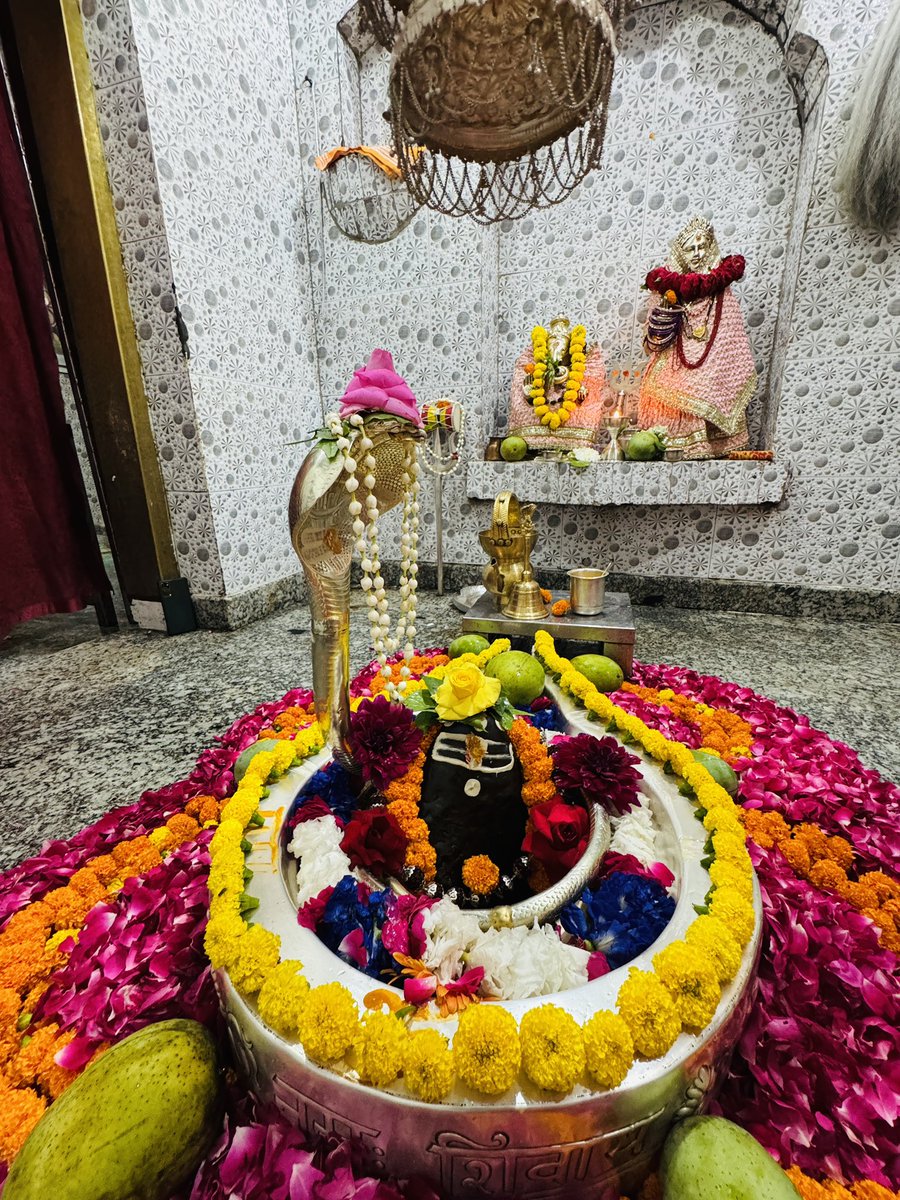 neelkanthtemple's tweet image. शुभ रात्रि श्री नीलकंठ महादेव जी
📍 श्री नीलकंठ महादेव मंदिर उत्तराखंड