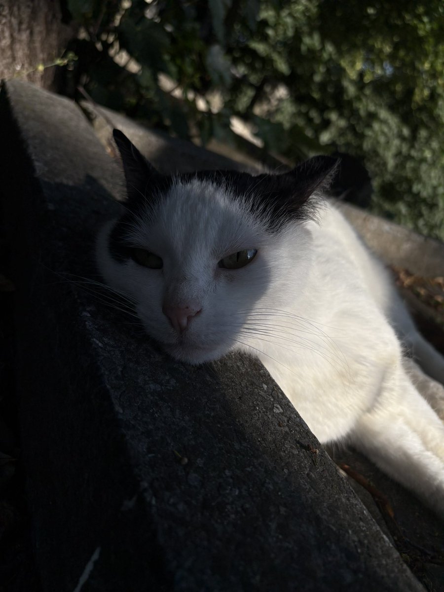 goft_cr's tweet image. Клавдія Петрівна