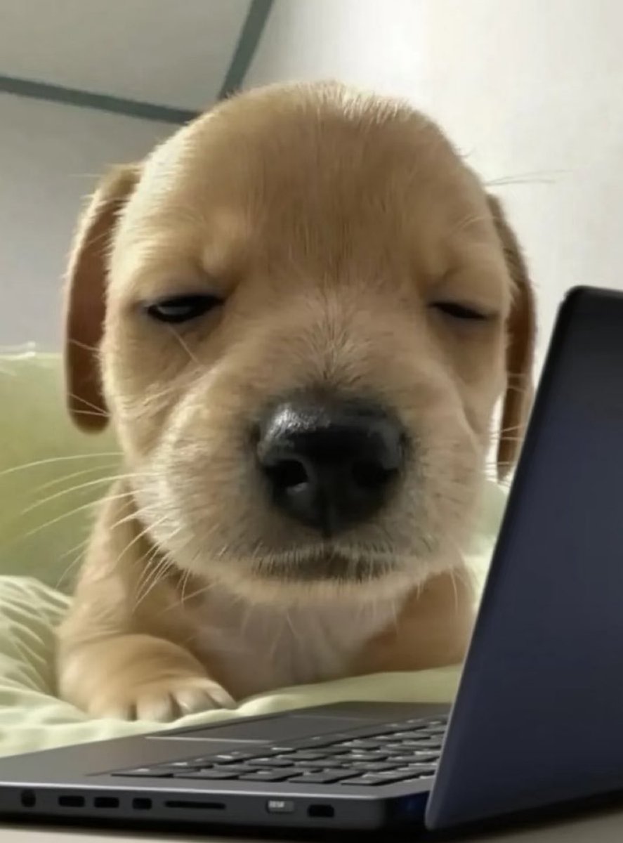 🐦🔥🕊🐕🐕🦺 (A)Risen Swoop🦮𓆈𓅐𓅣 (@swoopiepoopy) on Twitter photo <a href="/furbalurbalurb/">Furbalurbalurb 🍀</a> Commies when they find out how many of their 'secret weapons' are just things the the US has in our arsenal that we just don't use because we've decided they're too inhumane: <a href="/furbalurbalurb/">Furbalurbalurb 🍀</a> Commies when they find out how many of their 'secret weapons' are just things the the US has in our arsenal that we just don't use because we've decided they're too inhumane: