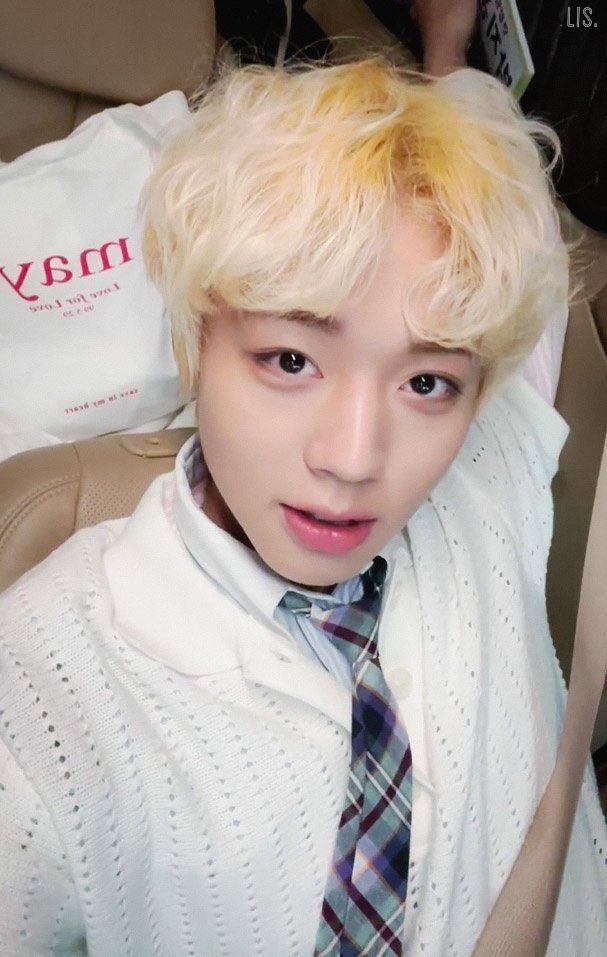 dollpjh's tweet image. 