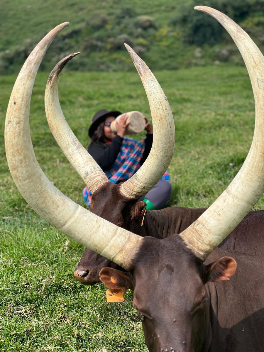 nkotanyi_5's tweet image. Best day ever🥰🥰
@Ngabo_Karegeya  na @Visit_Bigogwe
Mwakoze cyane kutwakira neza 
Muragahorane Amata😍😋