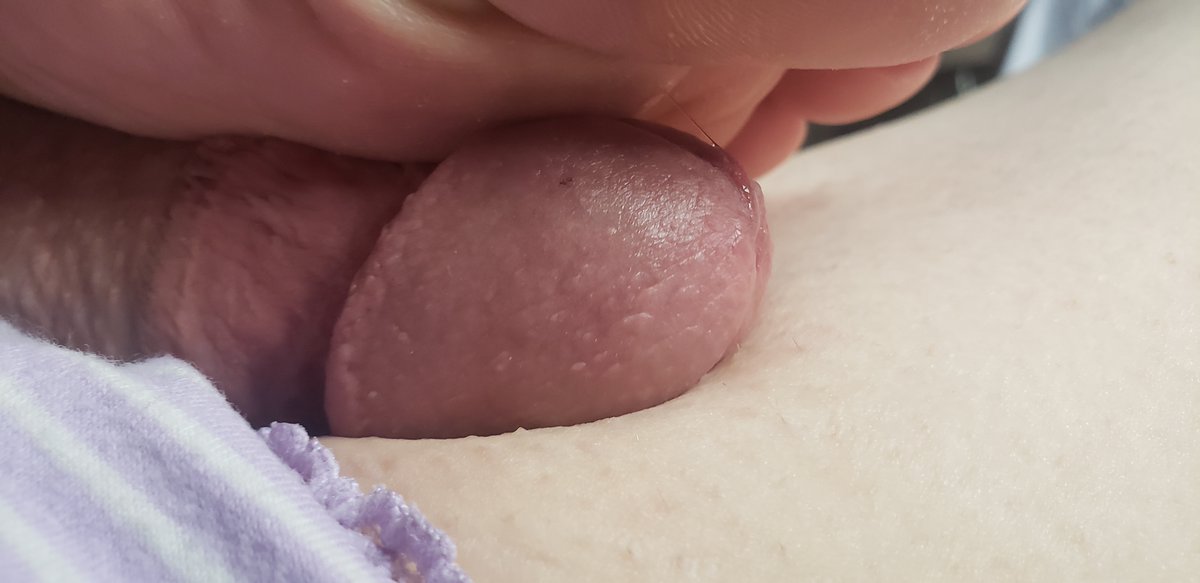 MsJuneGTS's tweet photo. using my paws to play with my cock and crushing anyone caught between... https://t.co/8d5LY4vVKA