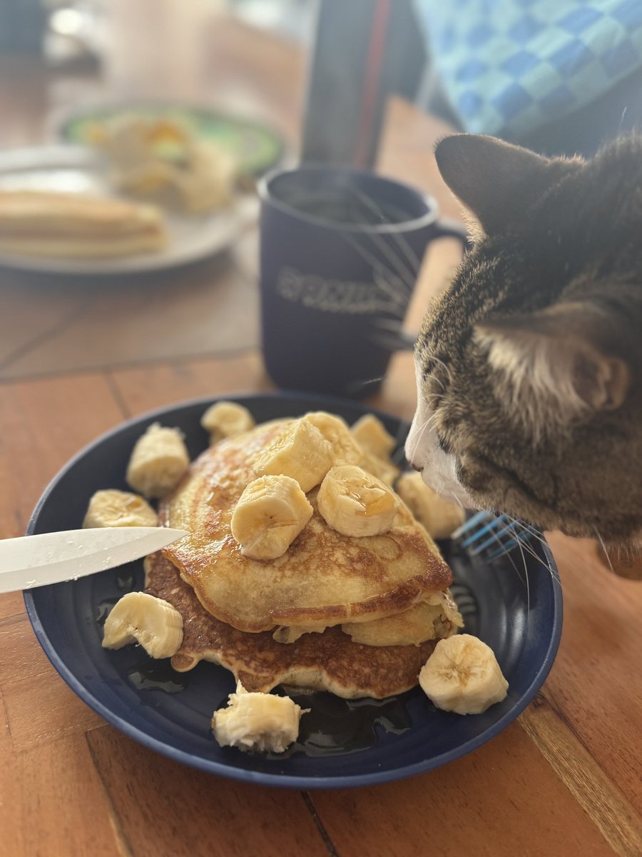 SuperGirlKels's tweet image. FINALLY LEARNED HOW TO MAKE PANCAKES 🥹🥹🥹🥹🥹🥹🥹