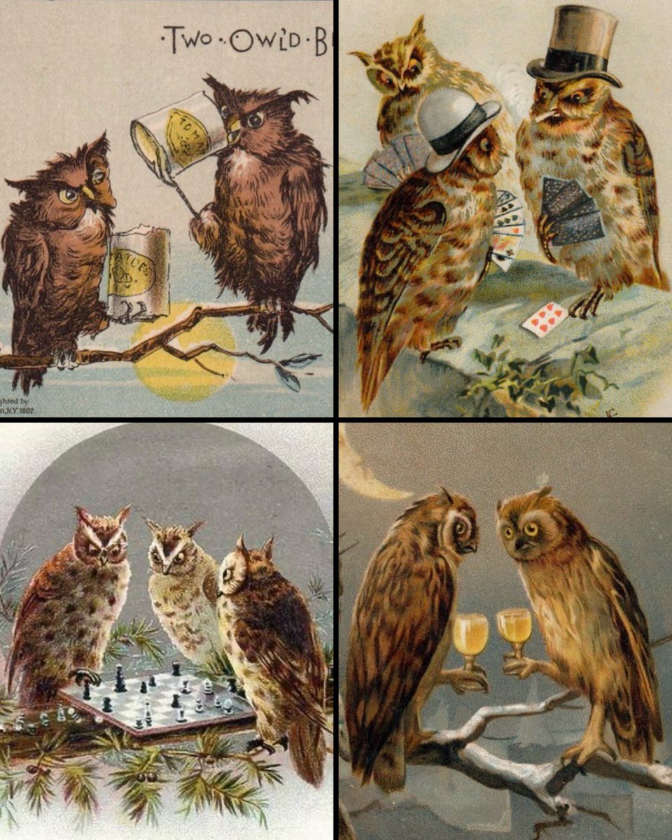 Victorian owls living their best lives