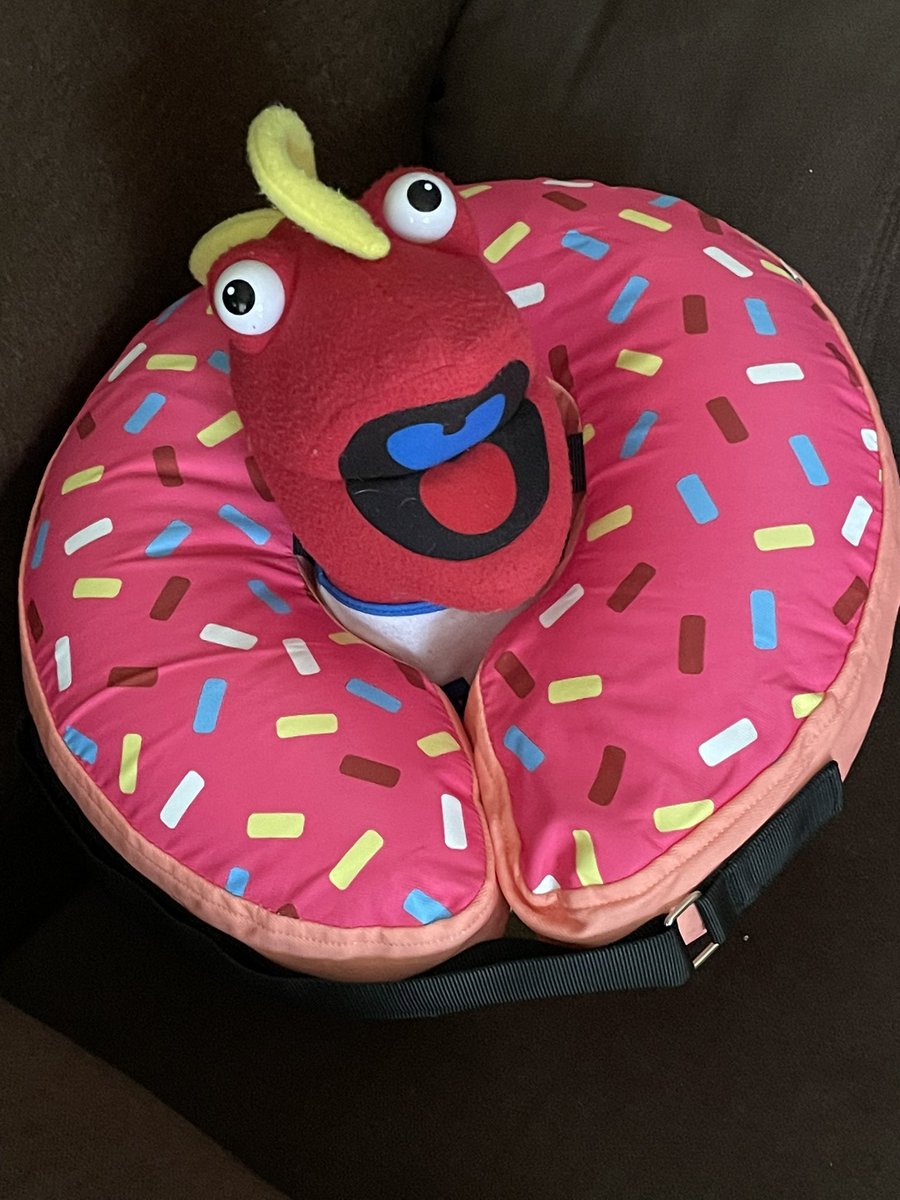 disgruntmonkey's tweet image. Bought a donut recovery pillow for Stubbs…I think Toony likes it better. #tooninwithme